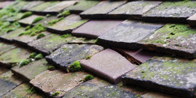 Eastville roof repair costs